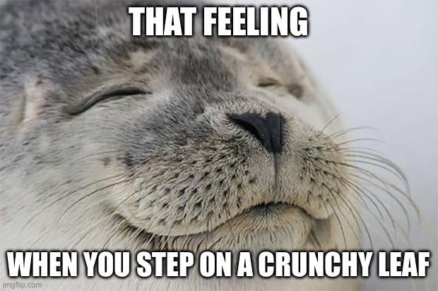 Satisfied Seal | THAT FEELING; WHEN YOU STEP ON A CRUNCHY LEAF | image tagged in memes,satisfied seal | made w/ Imgflip meme maker