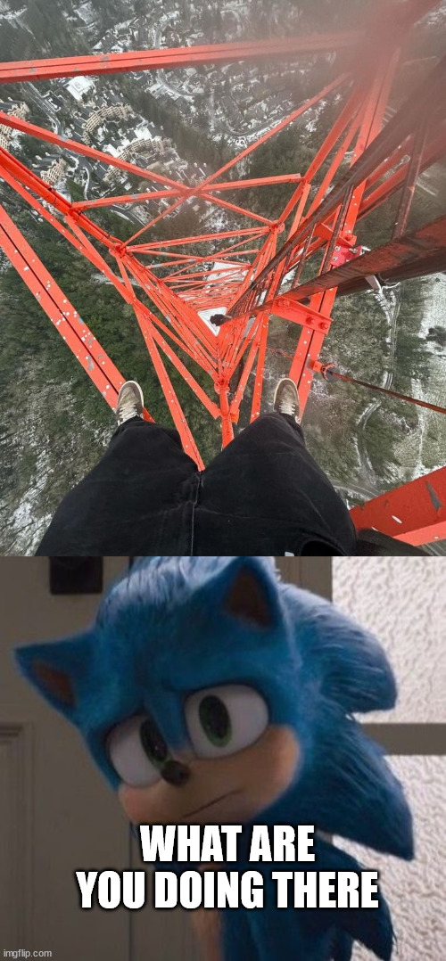 Me when my climbing buddy is crazy again | WHAT ARE YOU DOING THERE | image tagged in lattice climbing,sonic,sonic the hedgehog,meme,klettern,tower | made w/ Imgflip meme maker