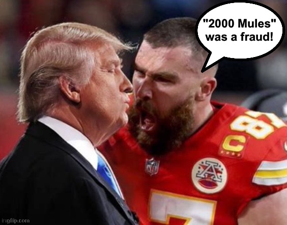 Even Kelce knows it! | "2000 Mules"

was a fraud! | image tagged in travis kelce,donald trump | made w/ Imgflip meme maker