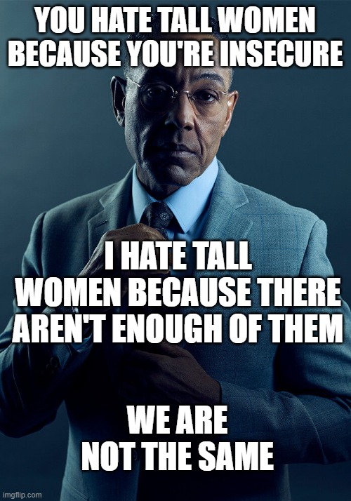 Embrace tall women | YOU HATE TALL WOMEN BECAUSE YOU'RE INSECURE; I HATE TALL WOMEN BECAUSE THERE AREN'T ENOUGH OF THEM; WE ARE NOT THE SAME | image tagged in gus fring we are not the same | made w/ Imgflip meme maker