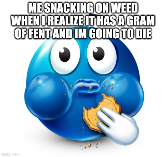 Blue guy snacking | ME SNACKING ON WEED WHEN I REALIZE IT HAS A GRAM OF FENT AND IM GOING TO DIE | image tagged in blue guy snacking | made w/ Imgflip meme maker