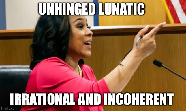 Typical anti trump liberal | UNHINGED LUNATIC; IRRATIONAL AND INCOHERENT | image tagged in psycho fanny willis,libtards | made w/ Imgflip meme maker