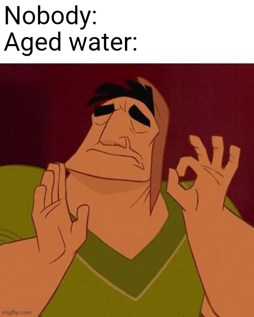 Why does it taste different tho | Nobody:
Aged water: | image tagged in when x just right,perfection | made w/ Imgflip meme maker