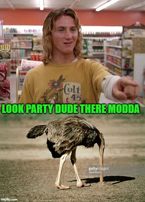 LOOK PARTY DUDE THERE MODDA | image tagged in spicoli | made w/ Imgflip meme maker