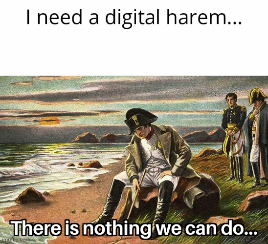 Digital Napolean | image tagged in napoleon bonaparte,aint,got,no bitches | made w/ Imgflip meme maker