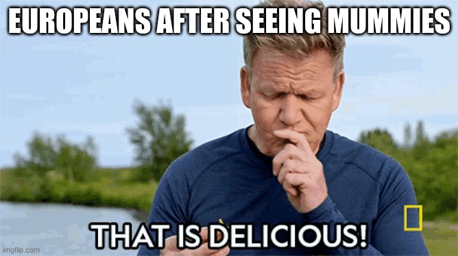 And they ate them | EUROPEANS AFTER SEEING MUMMIES | image tagged in that is delicious | made w/ Imgflip meme maker