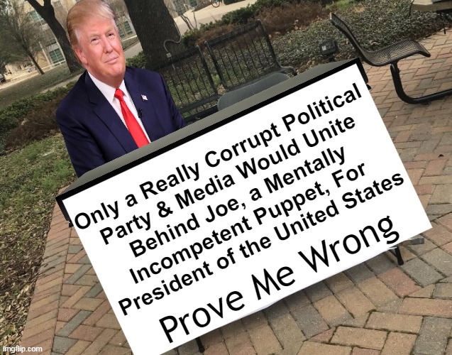 Hard to Swallow Pill for Partisans | Only a Really Corrupt Political 
Party & Media Would Unite 
Behind Joe, a Mentally 
Incompetent Puppet, For 
President of the United States; Prove Me Wrong | image tagged in politics,donald trump,truth,indisputable,fact,common sense | made w/ Imgflip meme maker