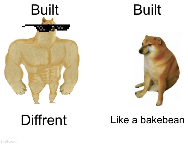 Buff Doge vs. Cheems | Built; Built; Diffrent; Like a bake bean | image tagged in memes,buff doge vs cheems | made w/ Imgflip meme maker