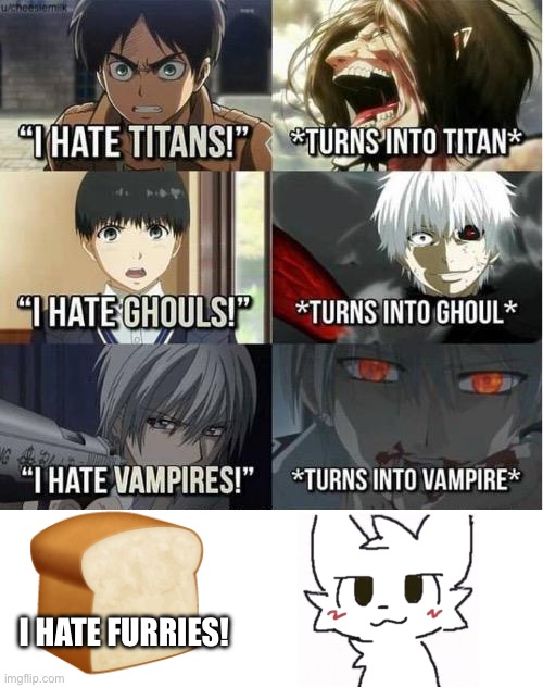 That was young me | I HATE FURRIES! | image tagged in i hate titans turns into titan | made w/ Imgflip meme maker