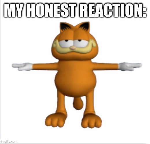 garfield t-pose | MY HONEST REACTION: | image tagged in garfield t-pose | made w/ Imgflip meme maker