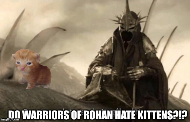 Nazgul gets tricky with a kitten shield | DO WARRIORS OF ROHAN HATE KITTENS?!? | image tagged in nazgul threat,cute kittens,lotr,shield,evil genius,memes | made w/ Imgflip meme maker
