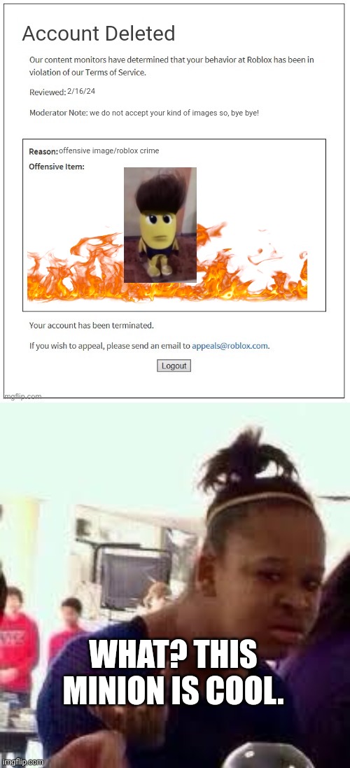 Account Deleted; 2/16/24; we do not accept your kind of images so, bye bye! offensive image/roblox crime; WHAT? THIS MINION IS COOL. | image tagged in moderation system,bruh | made w/ Imgflip meme maker