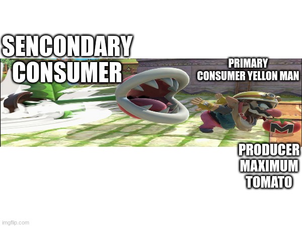 Food chains in a nutshell | PRIMARY CONSUMER YELLON MAN; SENCONDARY CONSUMER; PRODUCER MAXIMUM TOMATO | image tagged in food memes,educational,science,funny memes | made w/ Imgflip meme maker