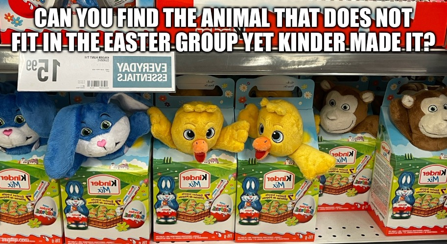 Kinder problems in 2024 | CAN YOU FIND THE ANIMAL THAT DOES NOT FIT IN THE EASTER GROUP YET KINDER MADE IT? | image tagged in easter,funny meme | made w/ Imgflip meme maker