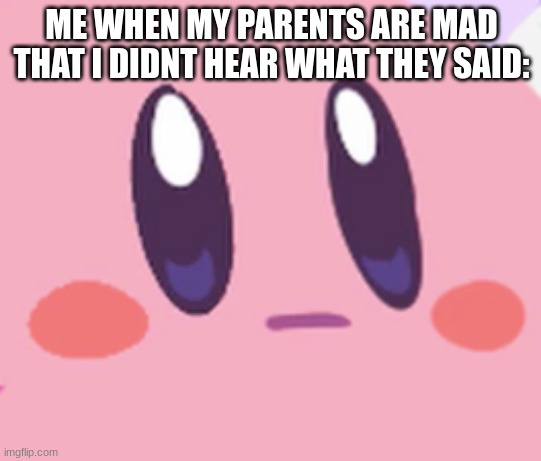 Kirbo blanky face | ME WHEN MY PARENTS ARE MAD THAT I DIDNT HEAR WHAT THEY SAID: | image tagged in blank kirby face | made w/ Imgflip meme maker