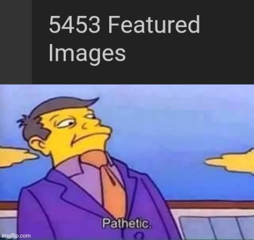 image tagged in skinner pathetic | made w/ Imgflip meme maker