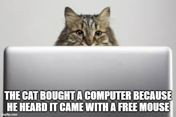 meme by Brad cat bought a computer for the mouse | THE CAT BOUGHT A COMPUTER BECAUSE HE HEARD IT CAME WITH A FREE MOUSE | image tagged in cats,funny cats,computer,funny meme,cat memes,funny cat memes | made w/ Imgflip meme maker