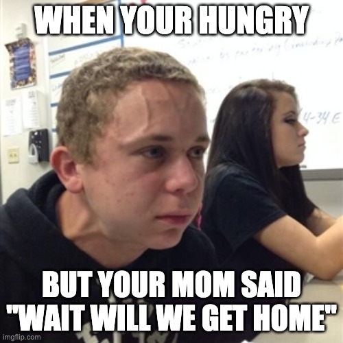 Hungry meme | WHEN YOUR HUNGRY; BUT YOUR MOM SAID "WAIT WILL WE GET HOME" | image tagged in vein forehead guy | made w/ Imgflip meme maker