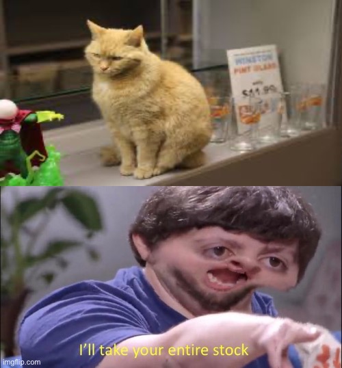 I don’t care if the cat costs 40 dollars | image tagged in i'll take your entire stock,cats | made w/ Imgflip meme maker