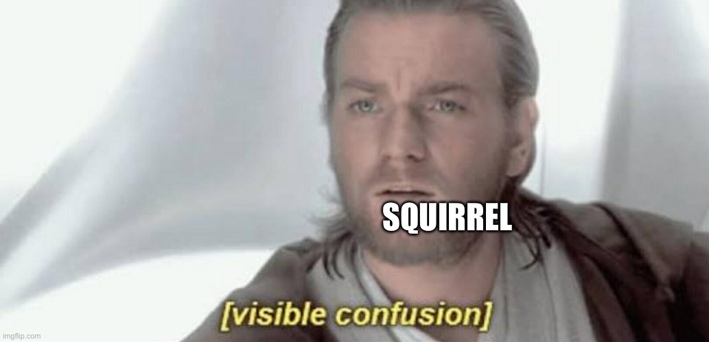 Visible Confusion | SQUIRREL | image tagged in visible confusion | made w/ Imgflip meme maker