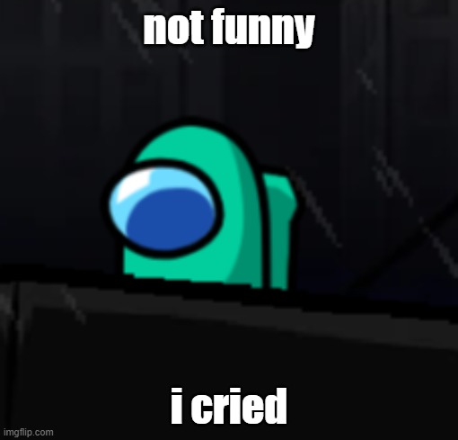 he cry | not funny; i cried | image tagged in not funny | made w/ Imgflip meme maker