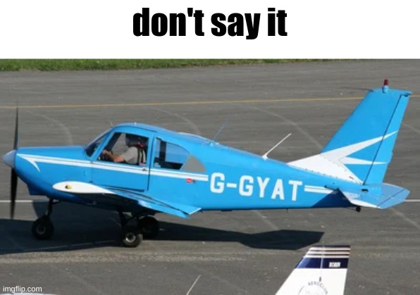 dont say it | don't say it | image tagged in gyatt,ggyat,plane,shitpost | made w/ Imgflip meme maker