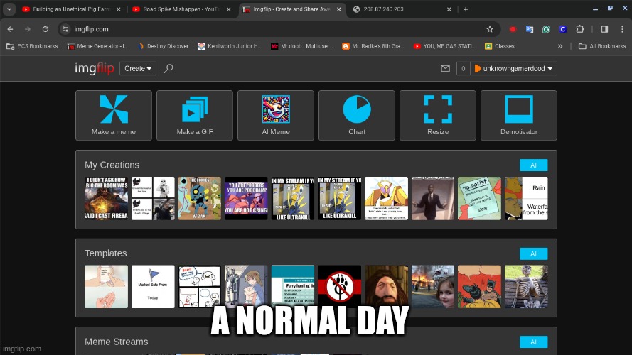 also thats not my ip addres | A NORMAL DAY | image tagged in normal day | made w/ Imgflip meme maker