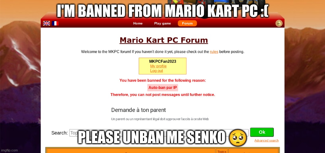 i'm banned from Mario Kart PC :( | I'M BANNED FROM MARIO KART PC :(; PLEASE UNBAN ME SENKO 🥺 | image tagged in i'm banned from mario kart pc,mario kart,banned | made w/ Imgflip meme maker
