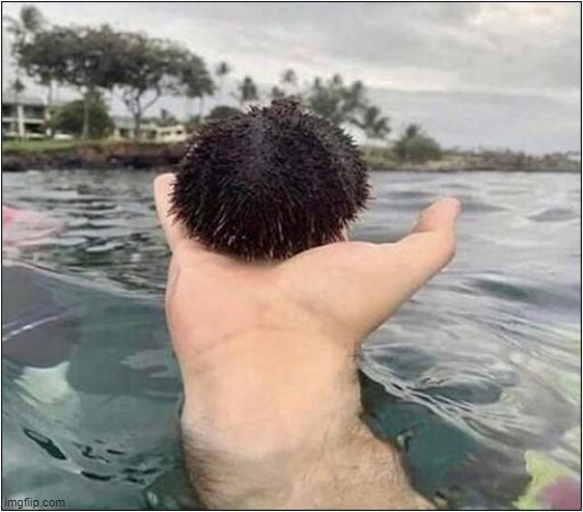 Skinny Dipping ? | image tagged in swimming,optical illusion | made w/ Imgflip meme maker