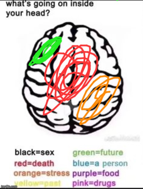What's going on inside your head? | image tagged in what's going on inside your head | made w/ Imgflip meme maker