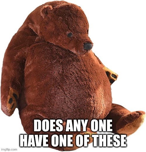 i need one | DOES ANY ONE HAVE ONE OF THESE | image tagged in bear | made w/ Imgflip meme maker