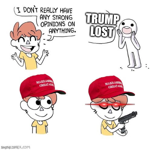 I don't really have strong opinions | TRUMP LOST | image tagged in i don't really have strong opinions | made w/ Imgflip meme maker