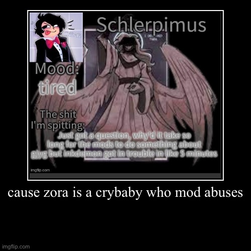 cause zora is a crybaby who mod abuses | | image tagged in funny,demotivationals | made w/ Imgflip demotivational maker