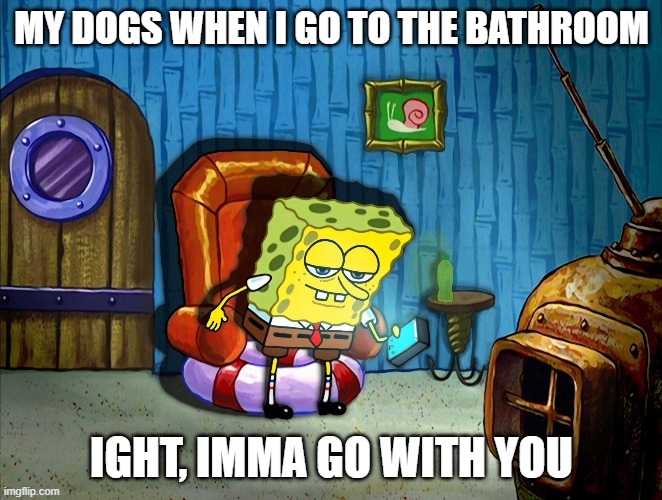 Dogs follow | MY DOGS WHEN I GO TO THE BATHROOM; IGHT, IMMA GO WITH YOU | image tagged in bathroom,dogs,follow | made w/ Imgflip meme maker