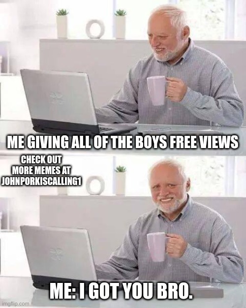 We've all done this before | ME GIVING ALL OF THE BOYS FREE VIEWS; CHECK OUT MORE MEMES AT JOHNPORKISCALLING1; ME: I GOT YOU BRO. | image tagged in memes,hide the pain harold,support | made w/ Imgflip meme maker