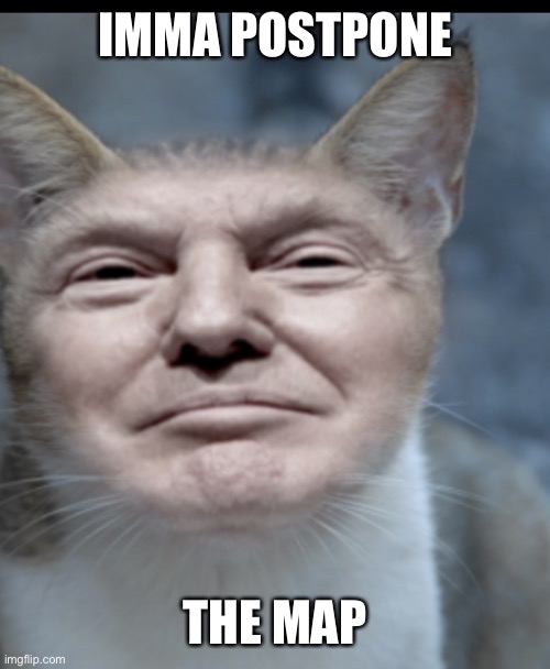 Donald trump cat | IMMA POSTPONE; THE MAP | image tagged in donald trump cat | made w/ Imgflip meme maker