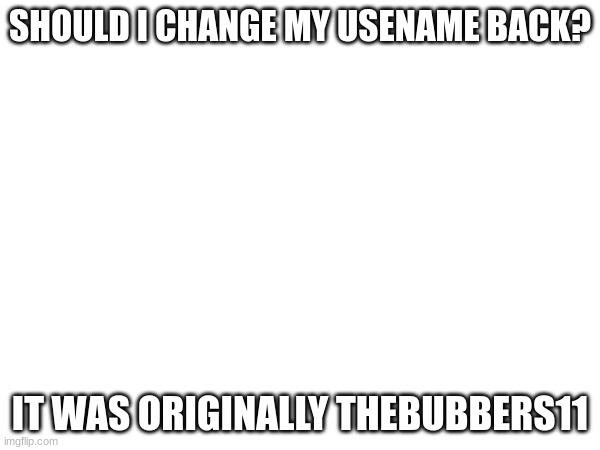 SHOULD I CHANGE MY USENAME BACK? IT WAS ORIGINALLY THEBUBBERS11 | made w/ Imgflip meme maker