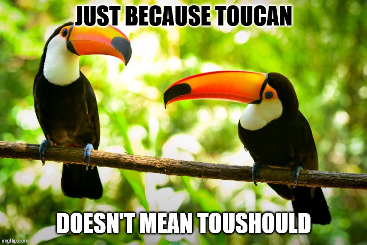 Just because toucan | JUST BECAUSE TOUCAN; DOESN'T MEAN TOUSHOULD | image tagged in toucan,advice,just because | made w/ Imgflip meme maker