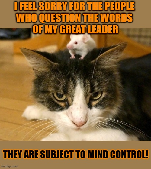 This #lolcat wonders why many never question their Great Leader | I FEEL SORRY FOR THE PEOPLE 
WHO QUESTION THE WORDS 
OF MY GREAT LEADER; THEY ARE SUBJECT TO MIND CONTROL! | image tagged in cult,brainwashing,brainwashed,lolcat,fascism | made w/ Imgflip meme maker