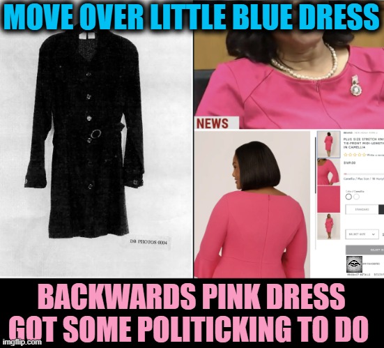 MOVE OVER LITTLE BLUE DRESS; BACKWARDS PINK DRESS
GOT SOME POLITICKING TO DO | image tagged in fani willis,bill clinton,corruption,monica lewinsky,democrats | made w/ Imgflip meme maker