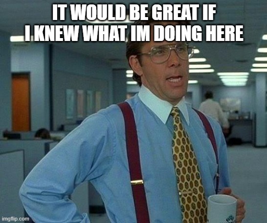That Would Be Great | IT WOULD BE GREAT IF I KNEW WHAT IM DOING HERE | image tagged in memes,that would be great | made w/ Imgflip meme maker