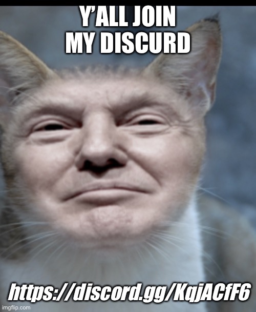 Donald trump cat | Y’ALL JOIN MY DISCURD; https://discord.gg/KqjACfF6 | image tagged in donald trump cat | made w/ Imgflip meme maker