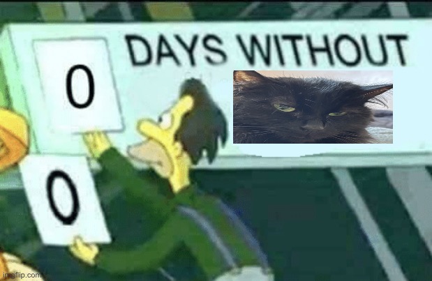 0 days without (Lenny, Simpsons) | image tagged in 0 days without lenny simpsons | made w/ Imgflip meme maker