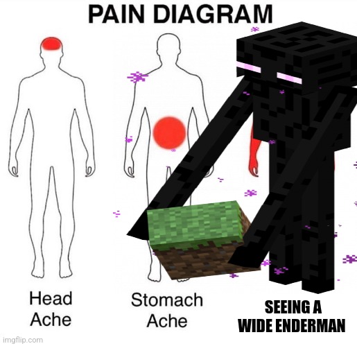 Wide enderman | SEEING A WIDE ENDERMAN | image tagged in pain diagram,minecraft,jpfan102504 | made w/ Imgflip meme maker
