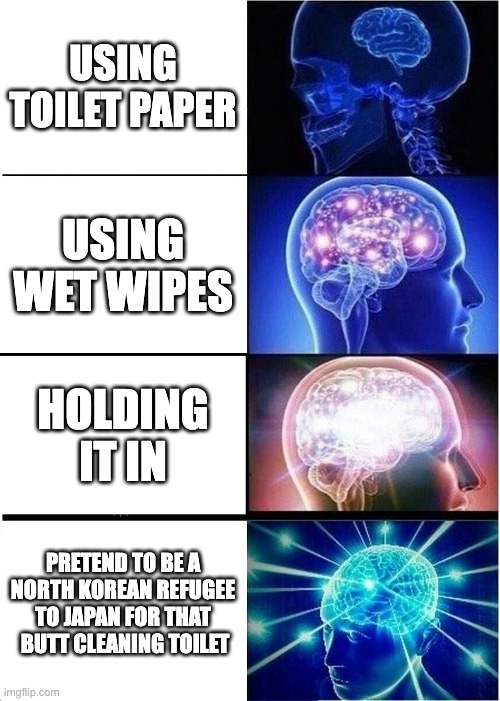 Hmmmmm | USING TOILET PAPER; USING WET WIPES; HOLDING IT IN; PRETEND TO BE A NORTH KOREAN REFUGEE TO JAPAN FOR THAT  BUTT CLEANING TOILET | image tagged in memes,expanding brain | made w/ Imgflip meme maker