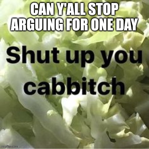Shut up you cabbitch | CAN Y'ALL STOP ARGUING FOR ONE DAY | image tagged in shut up you cabbitch | made w/ Imgflip meme maker