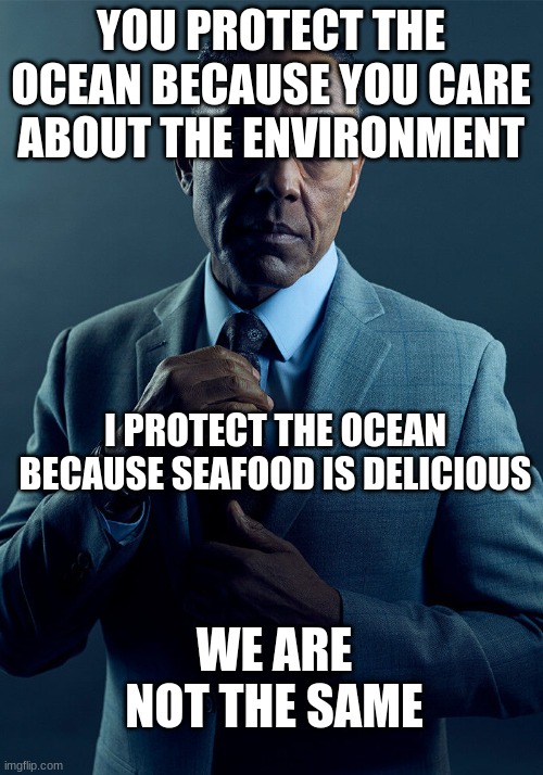 just a simple difference | YOU PROTECT THE OCEAN BECAUSE YOU CARE ABOUT THE ENVIRONMENT; I PROTECT THE OCEAN BECAUSE SEAFOOD IS DELICIOUS; WE ARE NOT THE SAME | image tagged in gus fring we are not the same,seafood | made w/ Imgflip meme maker