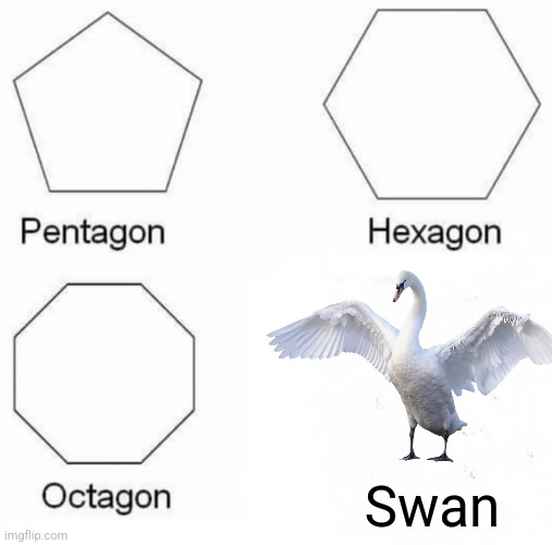 Swan | Swan | image tagged in memes,pentagon hexagon octagon,jpfan102504 | made w/ Imgflip meme maker