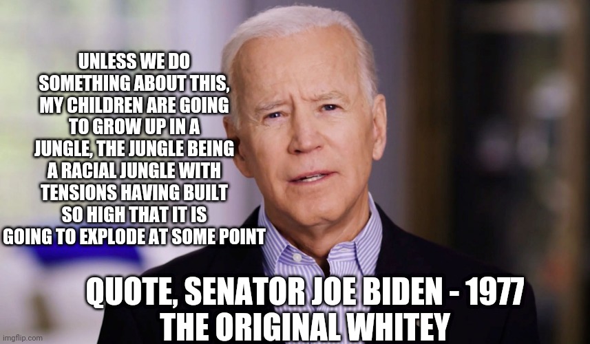 Joe Biden 2020 | UNLESS WE DO SOMETHING ABOUT THIS, MY CHILDREN ARE GOING TO GROW UP IN A JUNGLE, THE JUNGLE BEING A RACIAL JUNGLE WITH TENSIONS HAVING BUILT | image tagged in joe biden 2020 | made w/ Imgflip meme maker