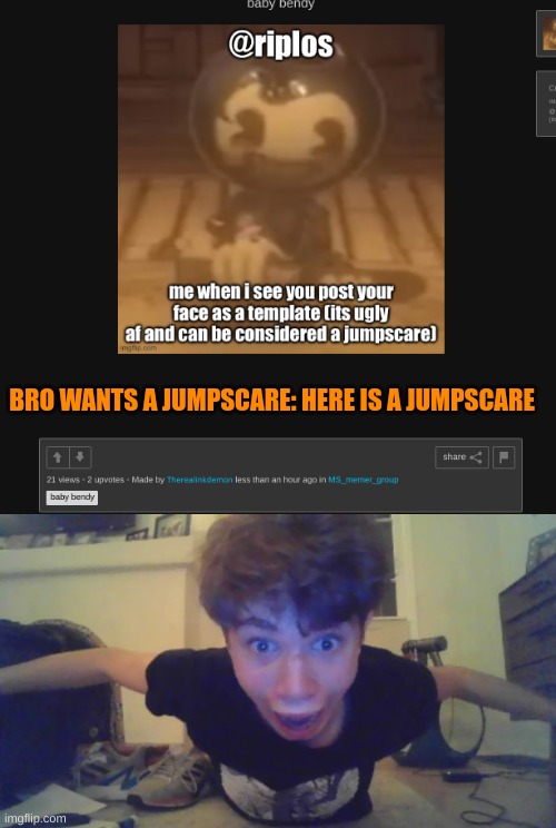 BRO WANTS A JUMPSCARE: HERE IS A JUMPSCARE | image tagged in riplor jumpscare | made w/ Imgflip meme maker